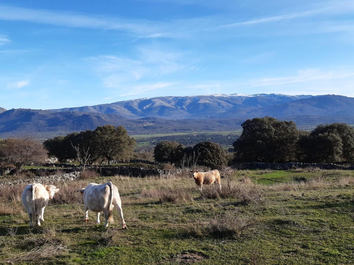 Casa Rural Mi Descanso Valdefuentes de Sangusín Exteriér fotografie